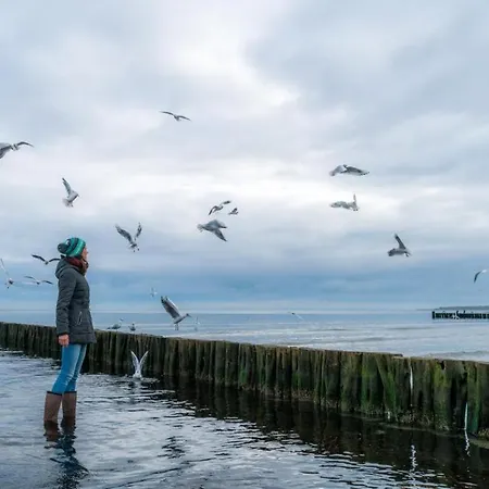 Seebach Whg S11 Apartmán Boltenhagen (Ostseebad)