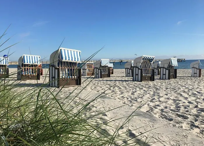 דירה Seebach Whg S11