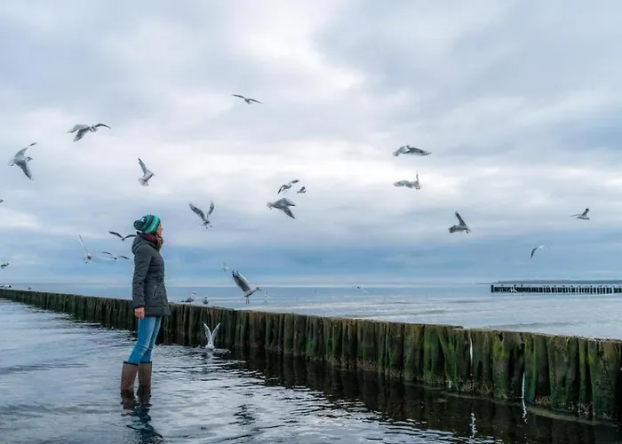 Seebach Whg S11 דירה בולטנהאגן